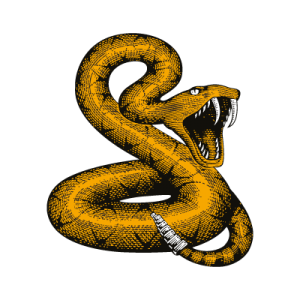 download snake in dream meaning